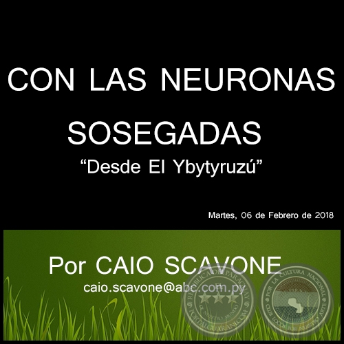 CON LAS NEURONAS SOSEGADAS - Desde El Ybytyruzú - Por CAIO SCAVONE - Martes, 06 de Febrero de 2018